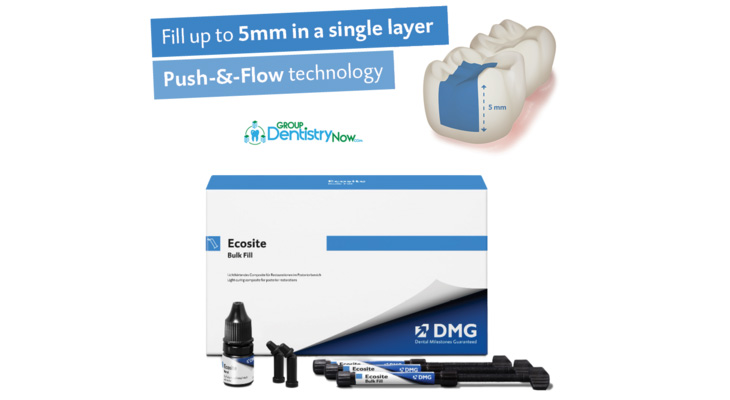 DMG - Ecosite Bulk Fill